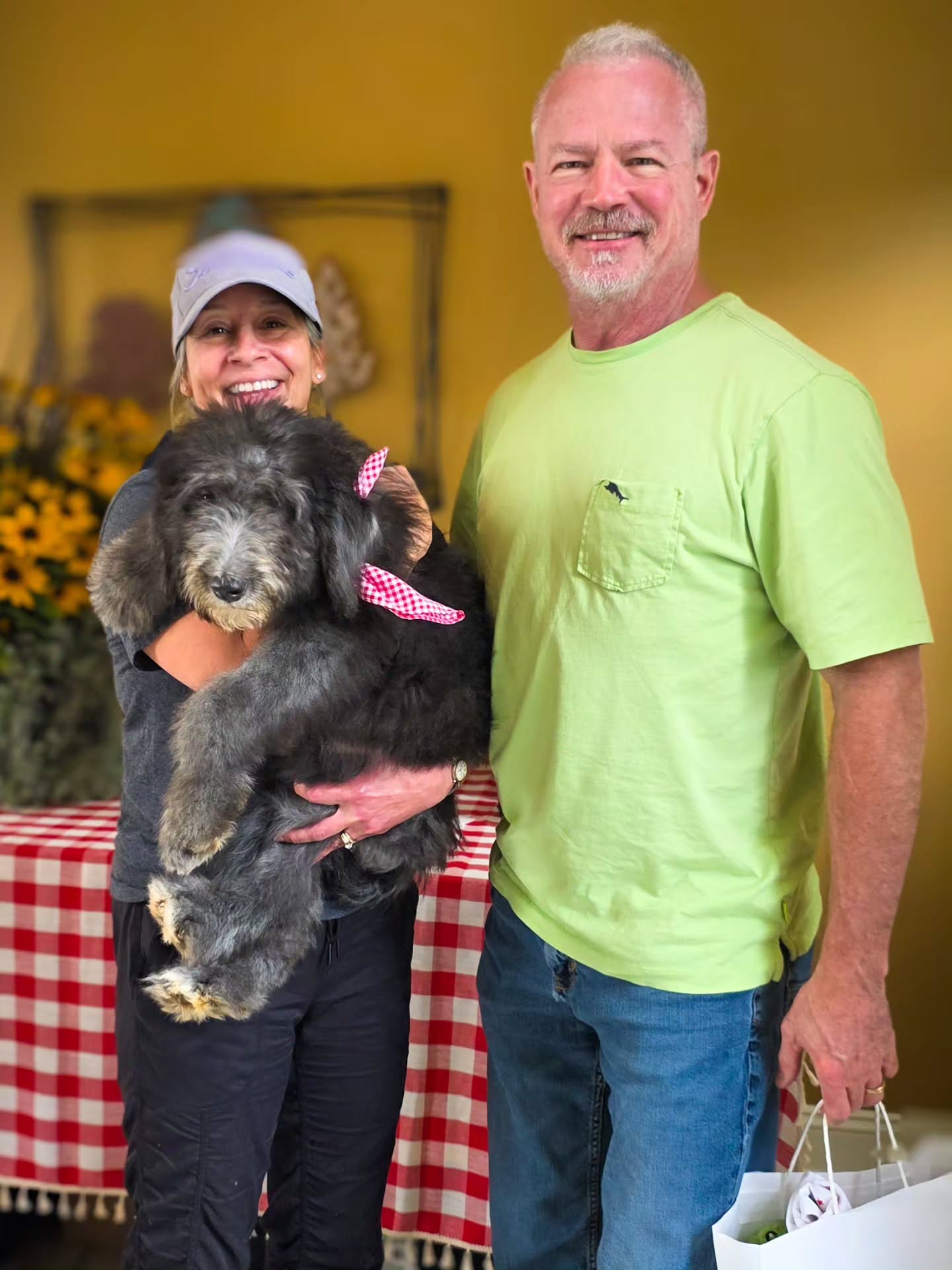 Our darling little coral sheepadoodle found an amazing home the other day and is going to be living her dream with her ohana on a farm!😍😍😍 We're so happy for her and couldn't ask for better people for her!
Coral has two wonderful brothers looking for their forever ohanas! If you'd like to come meet them join us this Sunday at our Black-Beary Open House between 2pm-5pm! We'll have refreshments, good conversation, and best of all PUPPIES!
RSVP to oshannahsdoodles@gmail.com if you and your family would like to come on out!
#sheepadoodle #doodles #virginia #washingtondc #cutepuppy