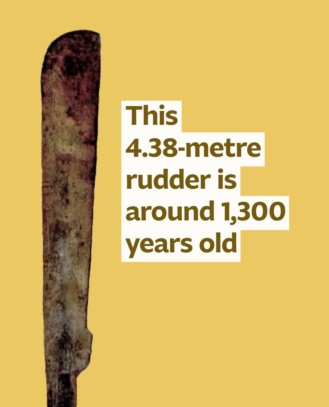 A 4.38-metre-long wooden rudder from the west coast of Sumatra is providing a rare glimpse of Southeast Asian seafaring around 1,300 years ago.
The rudder was recovered at the Bongal Site in Central Tapanuli, North Sumatra. Today the site lies inland, but geomorphological research suggests that in the 7th–8th centuries CE it was part of a shallow bay or estuarine environment.
The quarter rudder was carved from a single log and measures 4.38 metres long. Radiocarbon dating of the wood produced a calibrated date of 656–687 CE, making it the earliest securely dated rudder currently known from Southeast Asia.
Researchers also documented hull planks with raised wooden lugs, dowels and surviving palm-fibre ropes. These suggest that parts of these boats were pegged and tied together—a construction method archaeologists call the Southeast Asian lashed-lug tradition. Differences between the surviving planks even suggest that several vessels may have been present.
Bongal also produced ceramics, glass, beads and coins pointing to connections with much wider exchange networks. The researchers do not argue that the Bongal boats themselves were making long-distance voyages across the Indian Ocean, but propose that locally constructed vessels formed part of a regional maritime network, moving through rivers and along Sumatra’s coast and connecting communities there to broader systems of exchange.
Reference
Mochtar et al. 2026. “Lashed-Lug Boats from the Bongal Site: New Evidence for Early Maritime Networks on the West Coast of Sumatra.” International Journal of Nautical Archaeology.
10.1080/10572414.2026.2714901
#SoutheastAsianArchaeology #Indonesia #Sumatra #MaritimeArchaeology #NauticalArchaeology A 4.38-metre-long wooden rudder from the west coast of Sumatra is providing a rare glimpse of Southeast Asian seafaring around 1,300 years ago.
The rudder was recovered at the Bongal Site in Central Tapanuli, North Sumatra. Today the site lies inland, but geomorphological research suggests that in the 7th–8th centuries CE it was part of a shallow bay or estuarine environment.
The quarter rudder was carved from a single log and measures 4.38 metres long. Radiocarbon dating of the wood produced a calibrated date of 656–687 CE, making it the earliest securely dated rudder currently known from Southeast Asia.
Researchers also documented hull planks with raised wooden lugs, dowels and surviving palm-fibre ropes. These suggest that parts of these boats were pegged and tied together—a construction method archaeologists call the Southeast Asian lashed-lug tradition. Differences between the surviving planks even suggest that several vessels may have been present.
Bongal also produced ceramics, glass, beads and coins pointing to connections with much wider exchange networks. The researchers do not argue that the Bongal boats themselves were making long-distance voyages across the Indian Ocean, but propose that locally constructed vessels formed part of a regional maritime network, moving through rivers and along Sumatra’s coast and connecting communities there to broader systems of exchange.
Reference
Mochtar et al. 2026. “Lashed-Lug Boats from the Bongal Site: New Evidence for Early Maritime Networks on the West Coast of Sumatra.” International Journal of Nautical Archaeology.
10.1080/10572414.2026.2714901
#SoutheastAsianArchaeology #Indonesia #Sumatra #MaritimeArchaeology #NauticalArchaeology